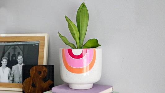 DIY Custom Adhesive Vinyl Rainbow Planter