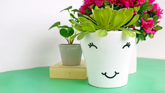 How to Make a Playful Face Planter Using Adhesive Vinyl