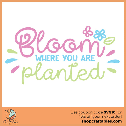 Free Bloom Where You Are Planted  SVG Cut File